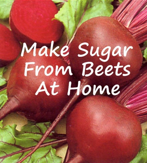 How To Make Sugar From Beets