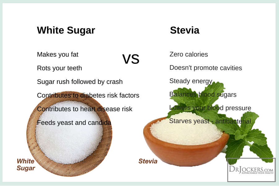 Is Stevia the Best Sweetener on the Market?