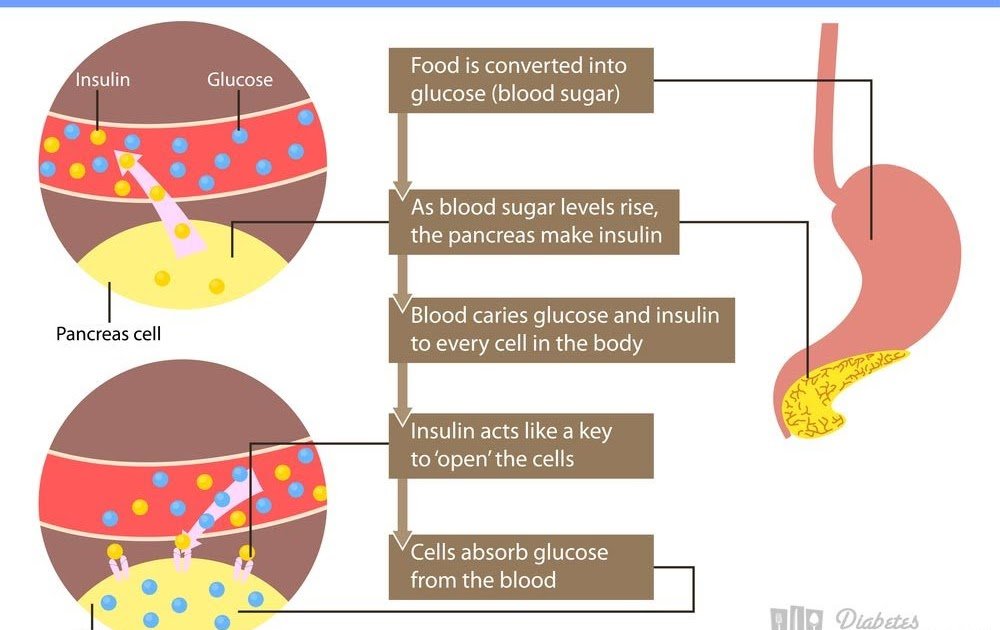 Manage Blood Sugar : how can i control my blood sugar levels
